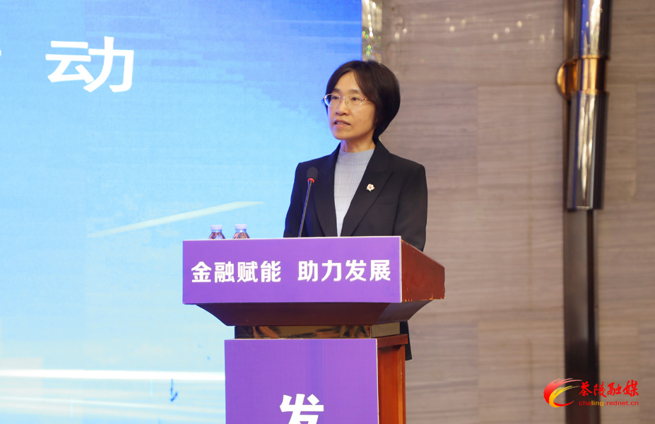 金融赋能助力发展——茶陵县政银企对接活动会议召开