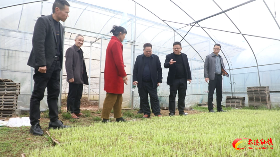 茶陵：抢抓农时忙春耕 践行 “开局八好” 绘丰景