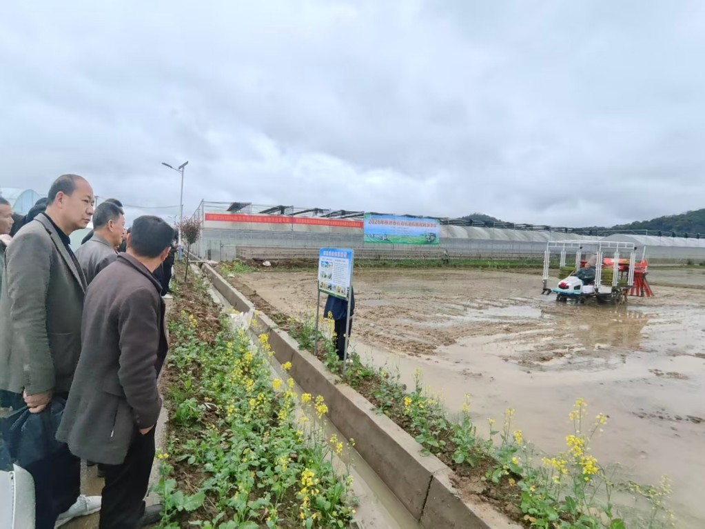 2026年株洲市机育机插机抛现场演示会在醴陵市举办