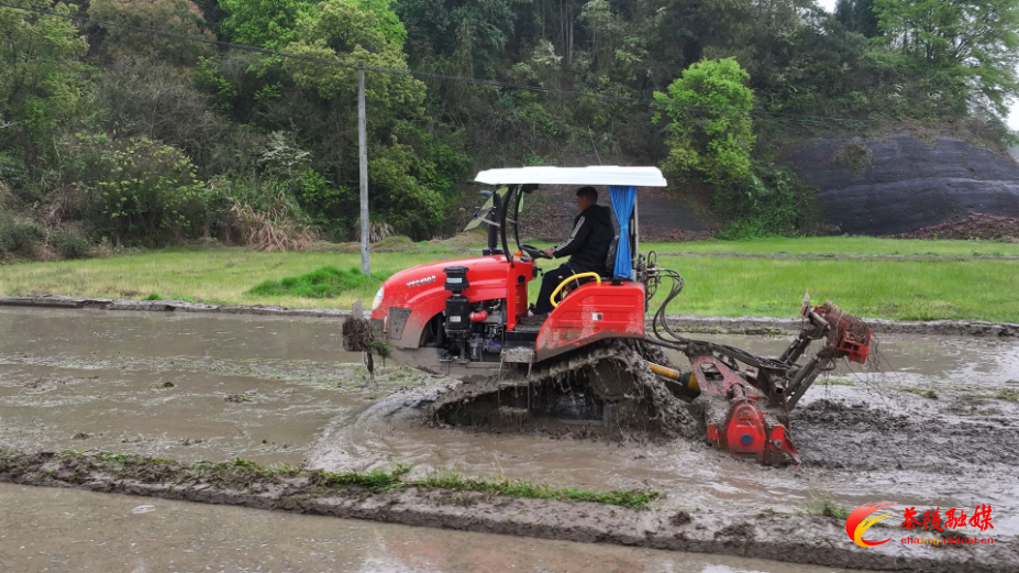 茶陵：抢抓农时忙春耕 践行 “开局八好” 绘丰景