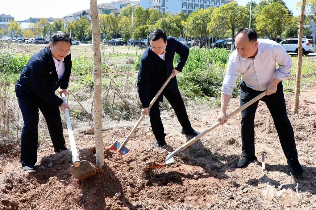 炎陵县开展全民义务植树活动 夏胜利参加