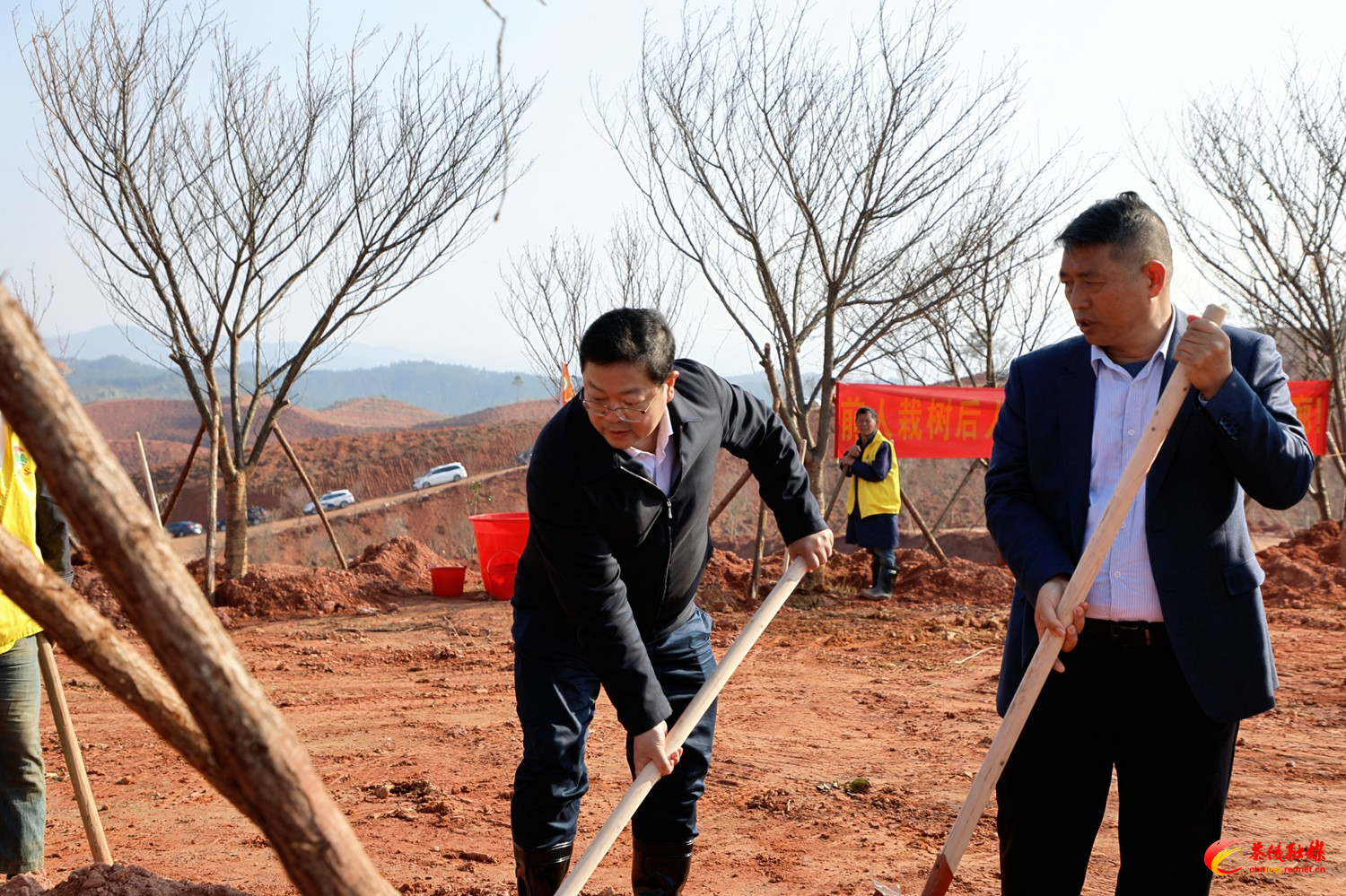 茶陵开展义务植树活动：添绿2.2万株 共筑生态家园