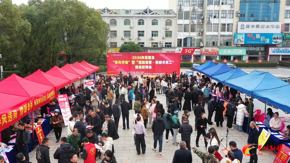 春风送岗促就业 百余岗位“职”面而来
