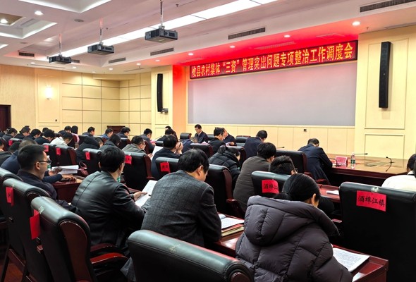 武挪强：坚决打赢农村集体“三资”管理突出问题整治突击战、攻坚战