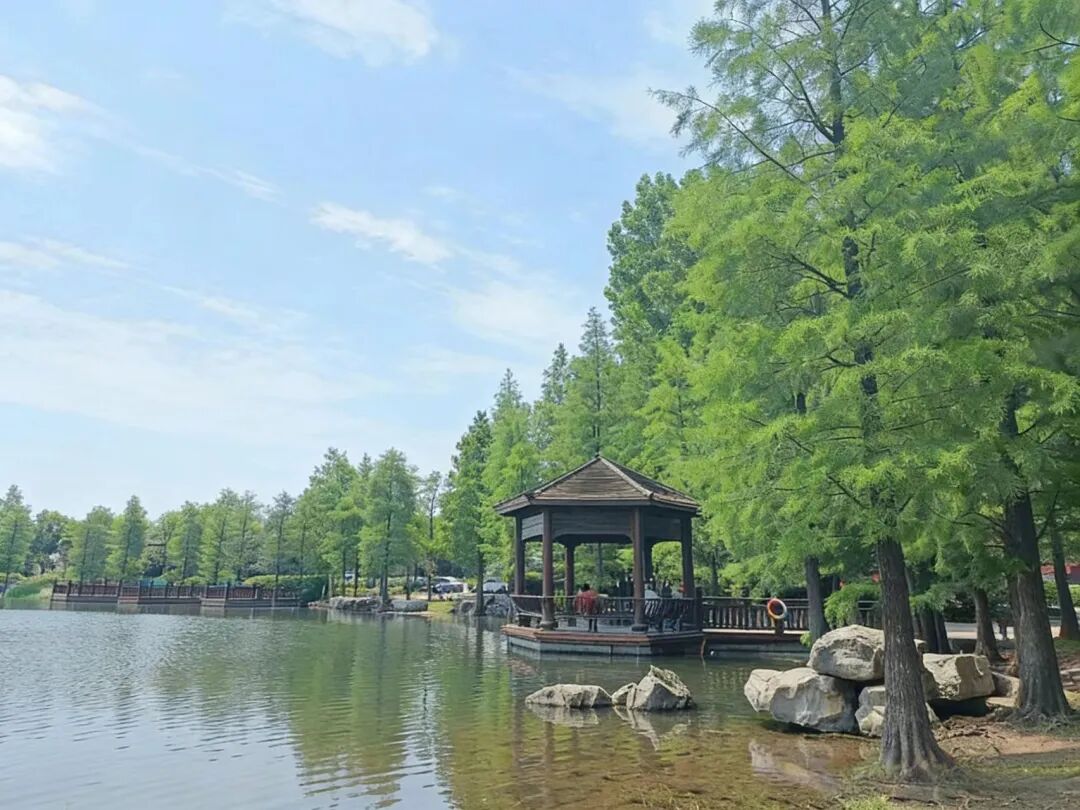 栗雨湖的春天——和丙戊散人《湖影里的人间》