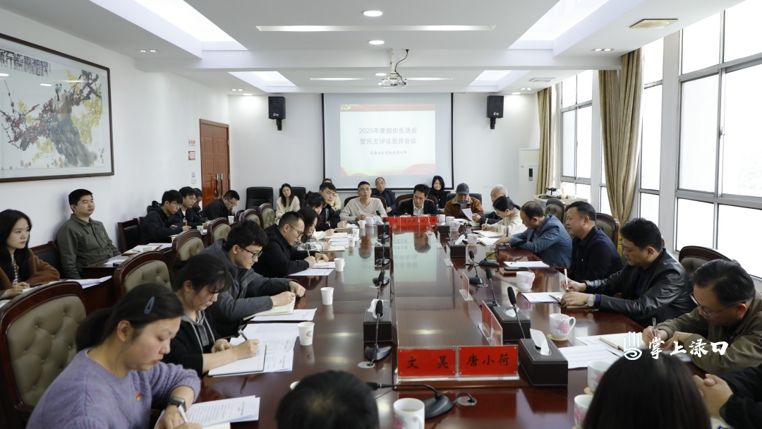 渌口区委办公室机关党支部召开2025年度组织生活会暨民主评议党员会议