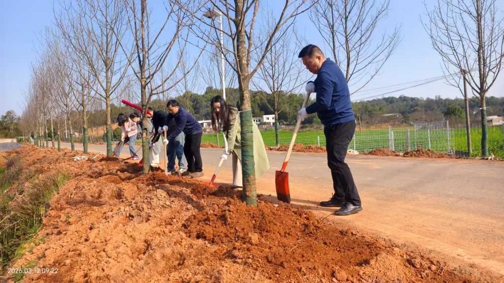 春满渌口 “植”此青绿——渌口区自然资源局开展义务植树活动