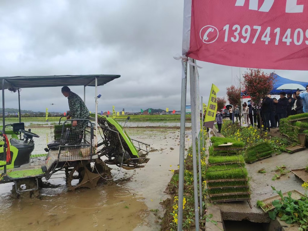 2026年株洲市机育机插机抛现场演示会在醴陵市举办