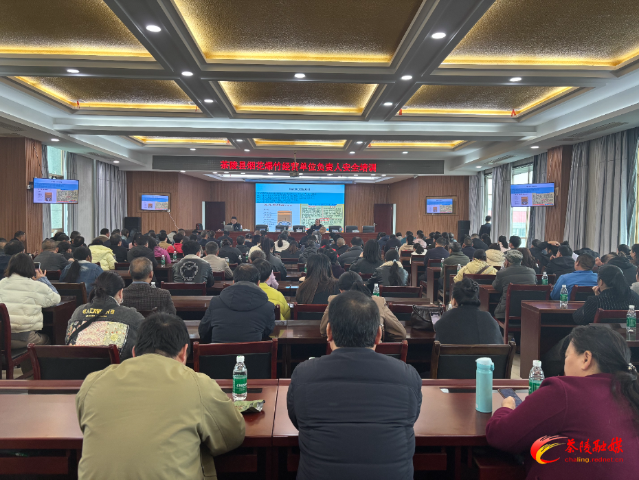 茶陵县开展烟花爆竹零售经营户负责人安全培训