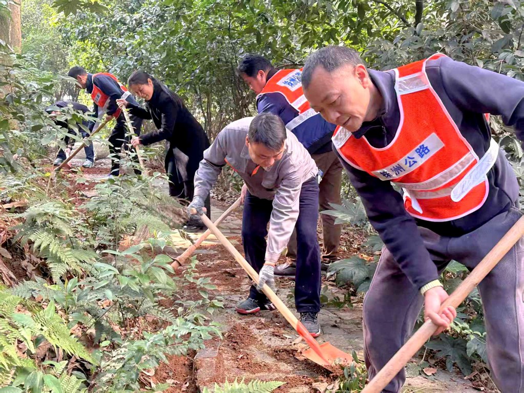 株洲市交通事务中心：植树添绿净环境 联点共建暖民心