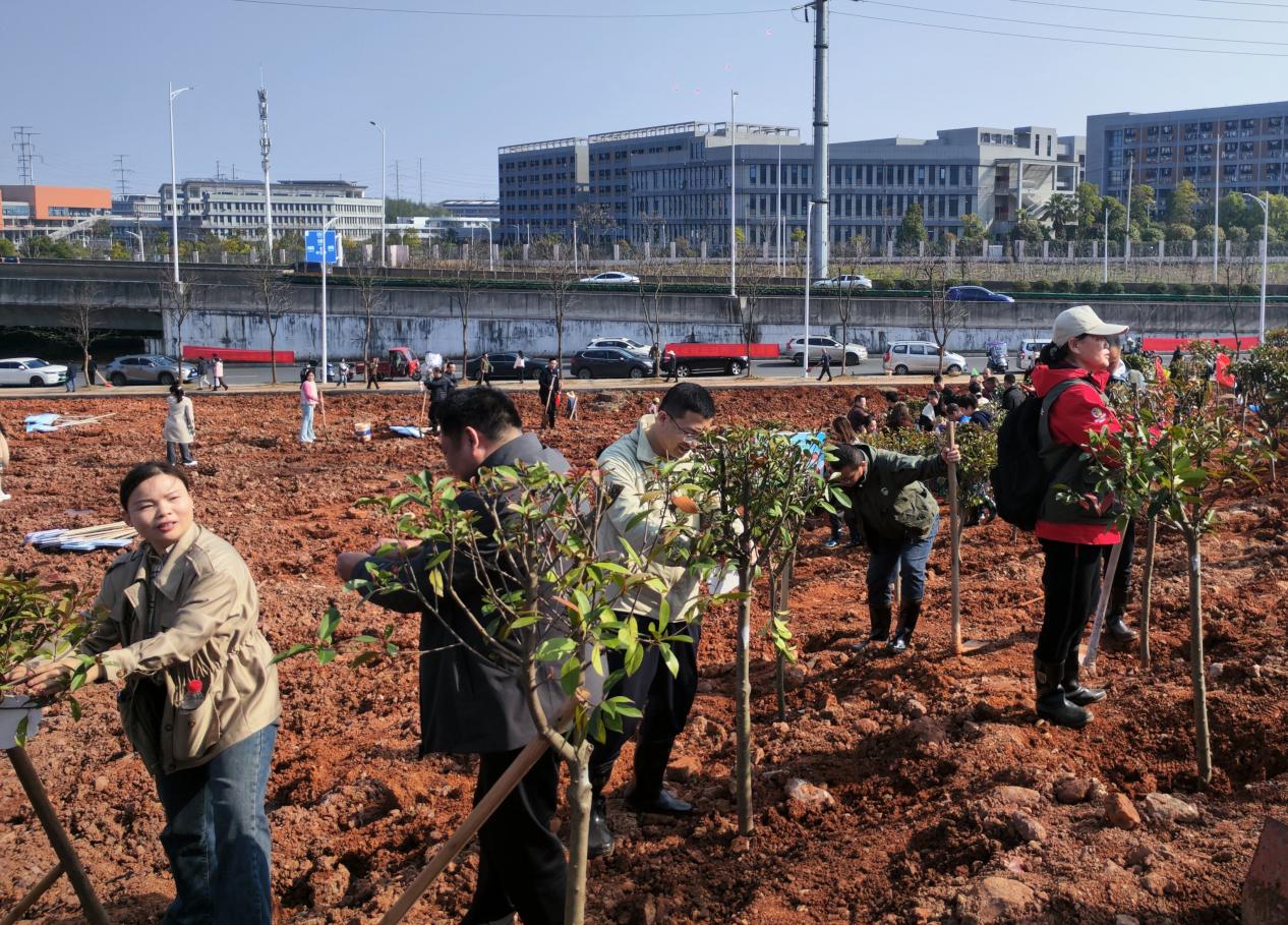 市生态环境局开展2026年义务植树活动