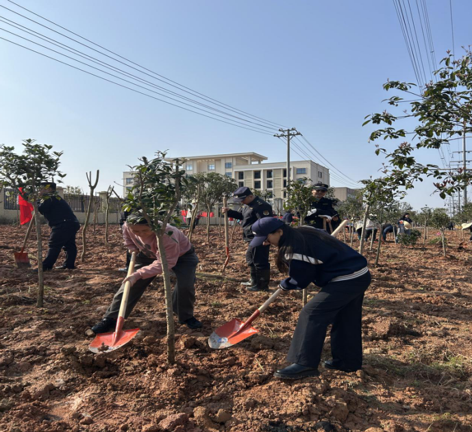 芦淞区民政局开展 2026年“3.12”全民义务植树活动