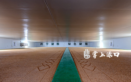 渌口罗卫东捧回全国粮食和物资储备系统先进个人奖