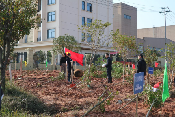芦淞区：2026年义务植树“三认”活动如火如荼开展