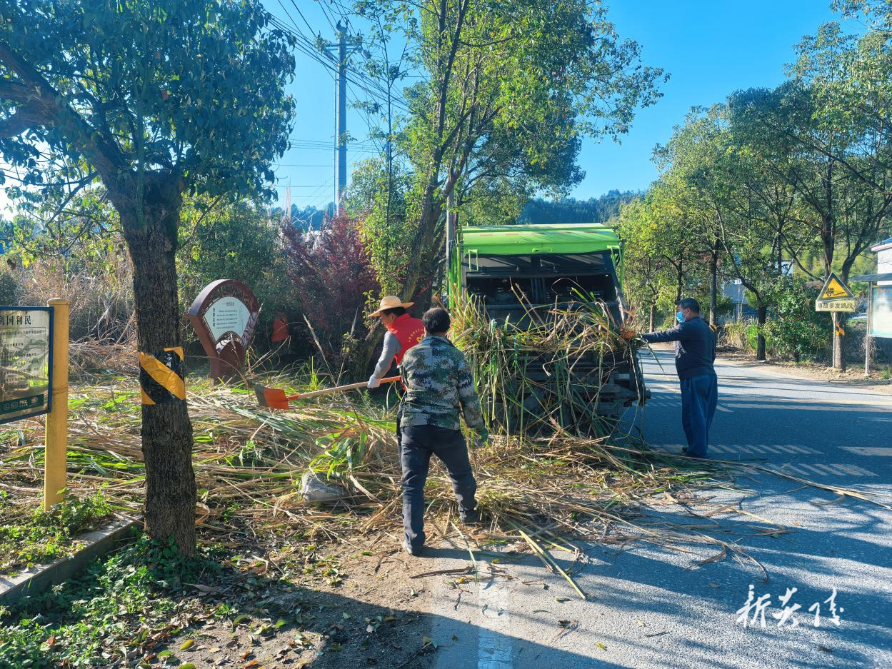十都镇开展“护河净滩”志愿者活动