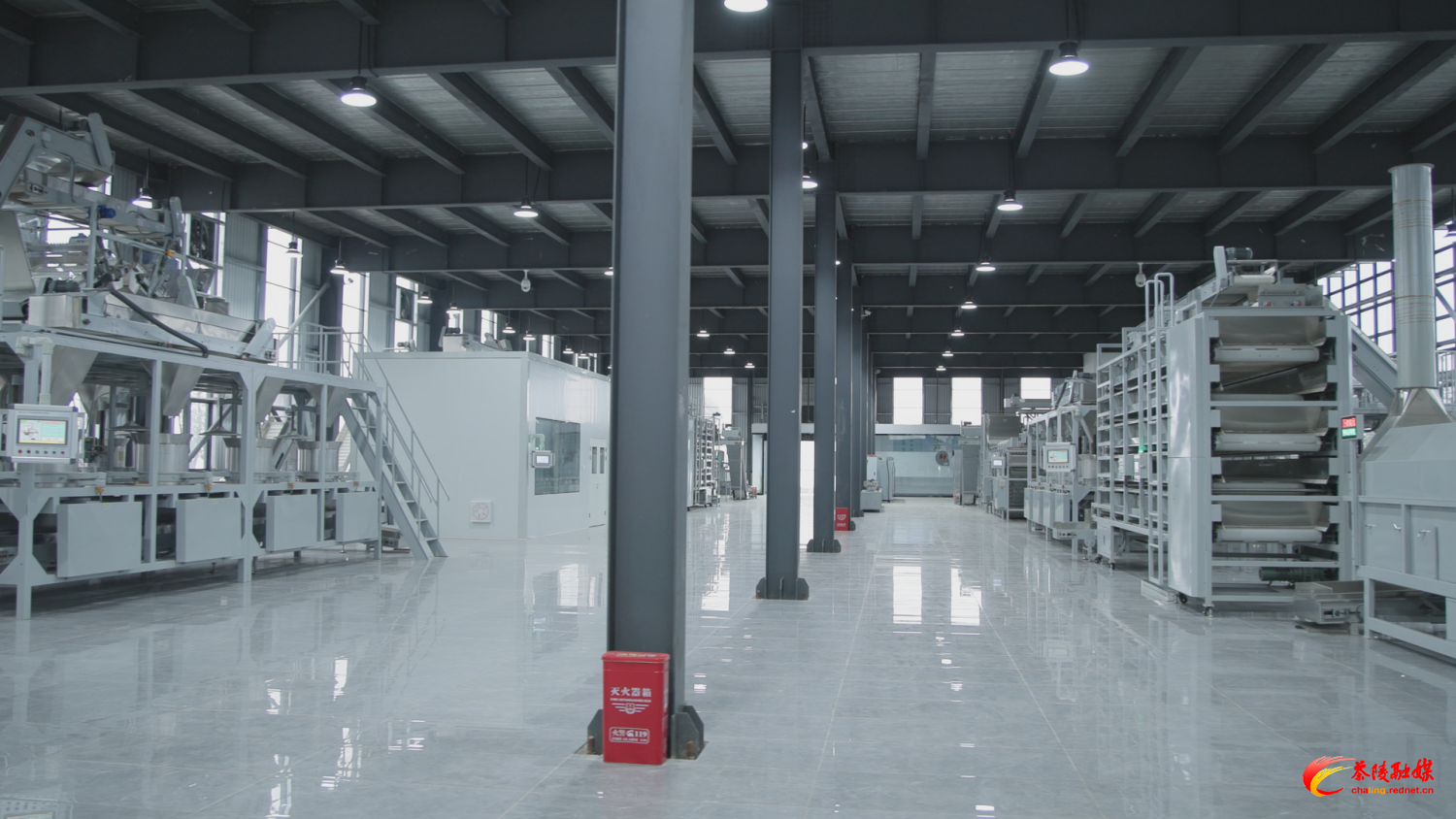 “智”造茶香：茶陵万亩茶园装上“数字大脑”