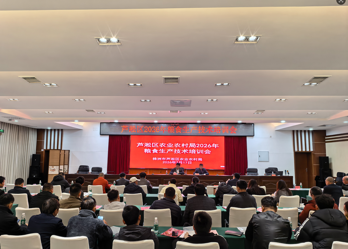 芦淞区：开展粮食生产技术培训，助力农业绿色高质量发展
