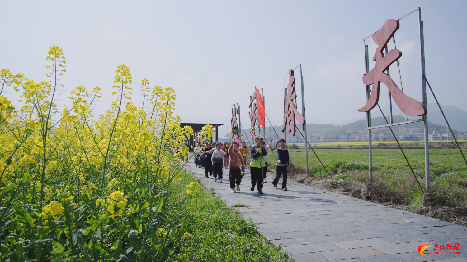 春暖花开踏青时 万亩金海绘丰景