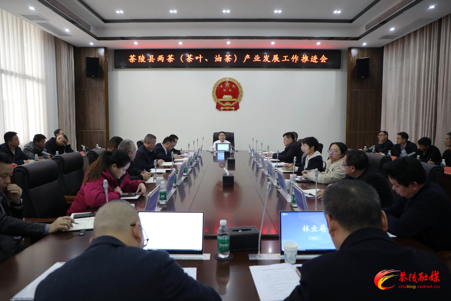 朱毅强主持召开两茶（茶叶、油茶）产业发展工作推进会