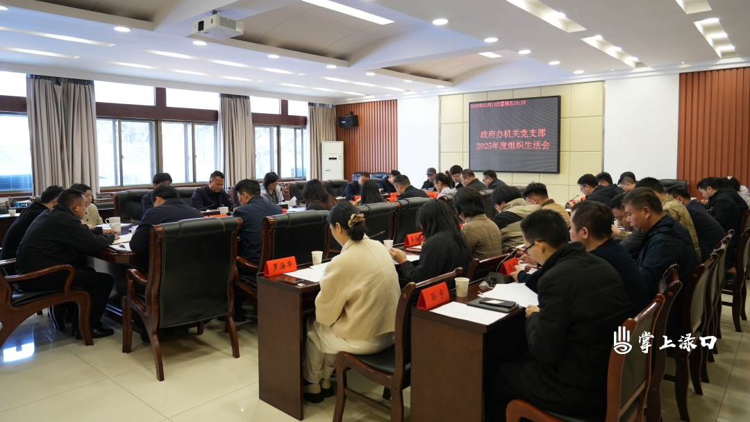 赖晓智参加区政府办机关党支部2025年度组织生活会