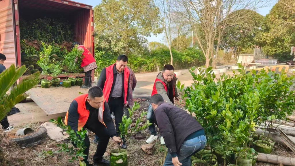 让每一抹绿，既是风景又有“钱”景