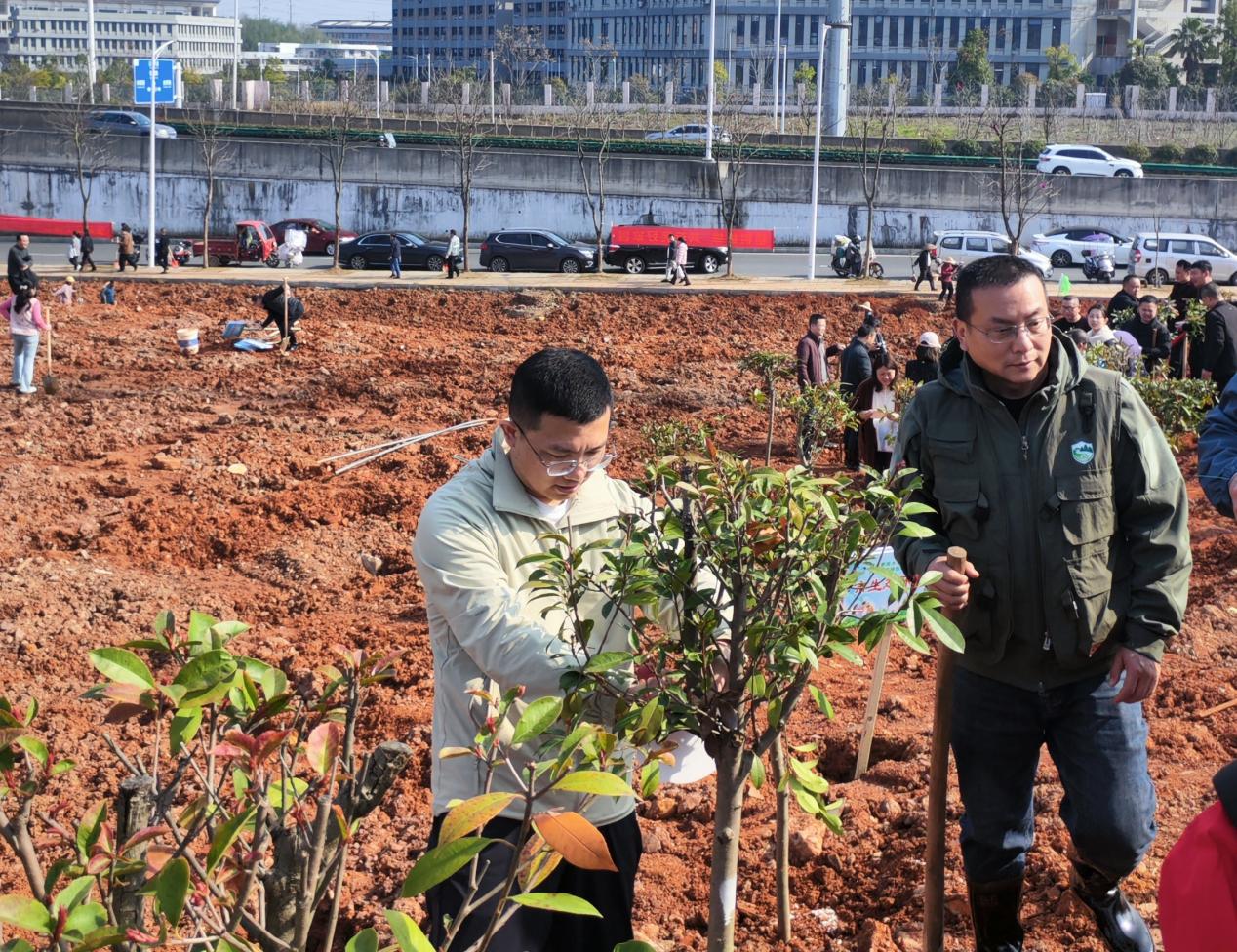 市生态环境局开展2026年义务植树活动