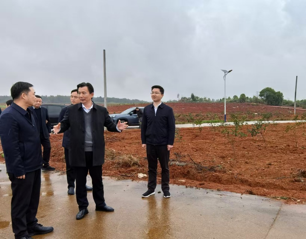 市副林长、副市长刘飞勇一行赴茶陵县、攸县调研督导鸟类保护及油茶产业发展等工作