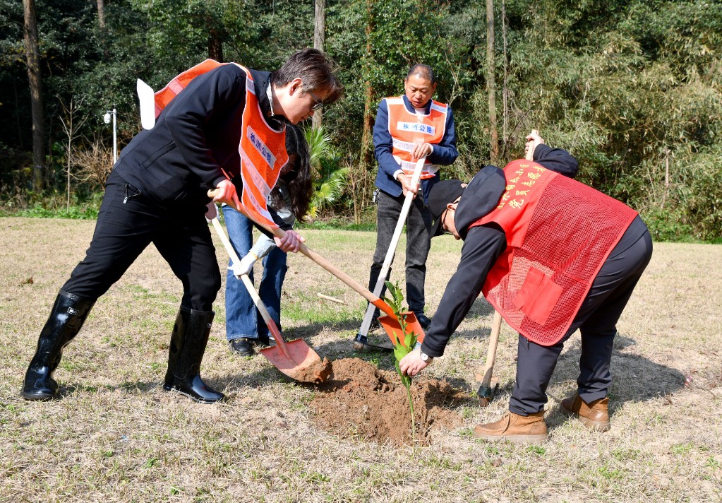 株洲市交通事务中心：植树添绿净环境 联点共建暖民心