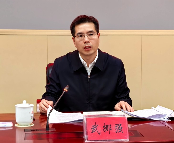 武挪强：坚决打赢农村集体“三资”管理突出问题整治突击战、攻坚战