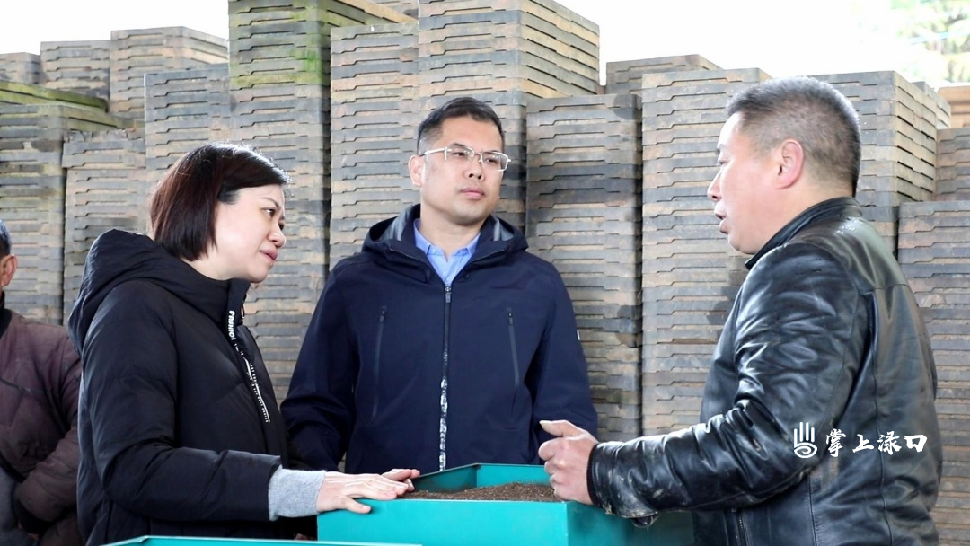 赖晓智调研春耕备耕工作