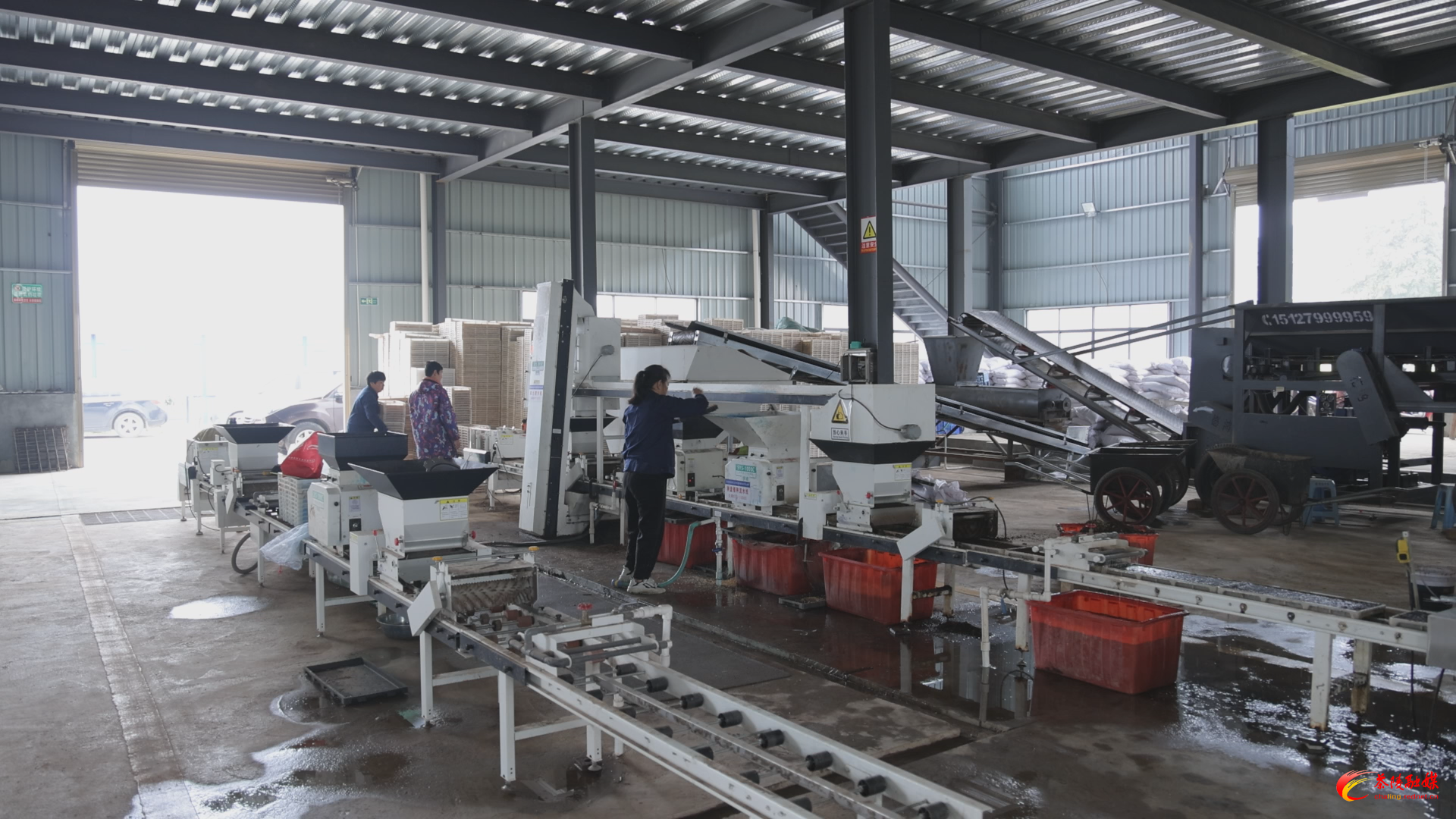 【答卷•产业提效】从“会”种田到“慧”种田 茶陵智能育秧跑出“加速度”