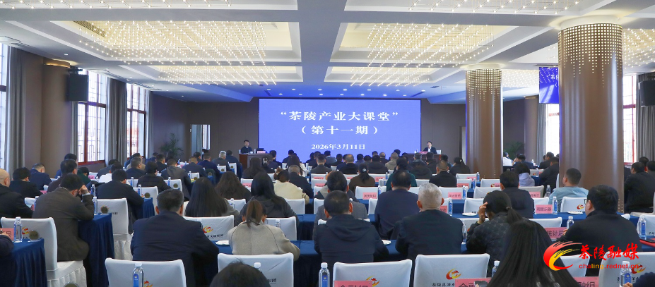 茶陵产业大课堂（第十一期）开讲