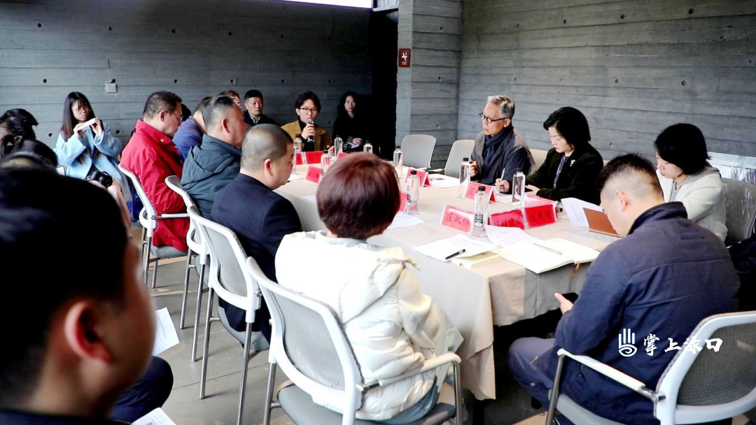 魏春雨一行来渌口区调研王家洲乡村美术馆建设运营情况