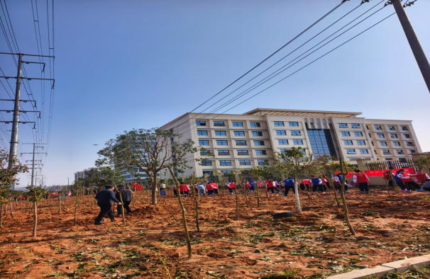芦淞区：2026年义务植树“三认”活动如火如荼开展
