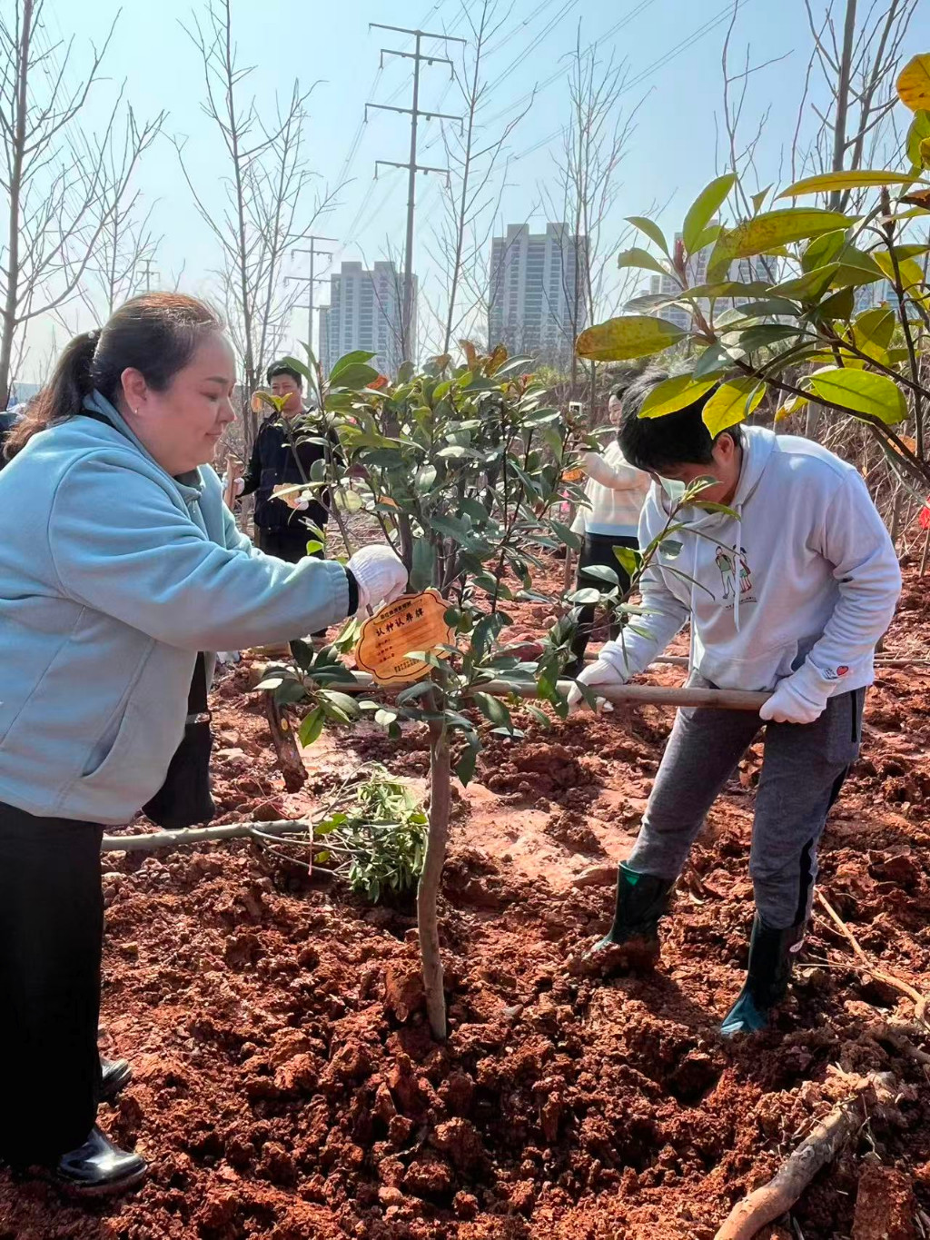 株洲市民政局开展2026年义务植树活动