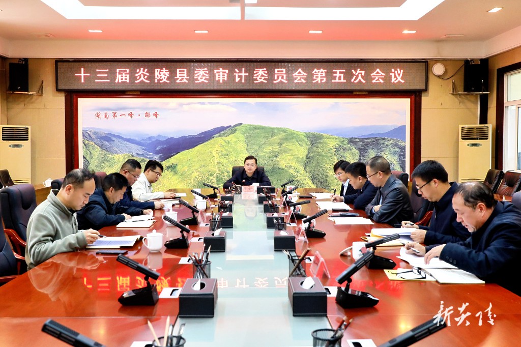 夏胜利主持召开十三届县委审计委员会第五次会议