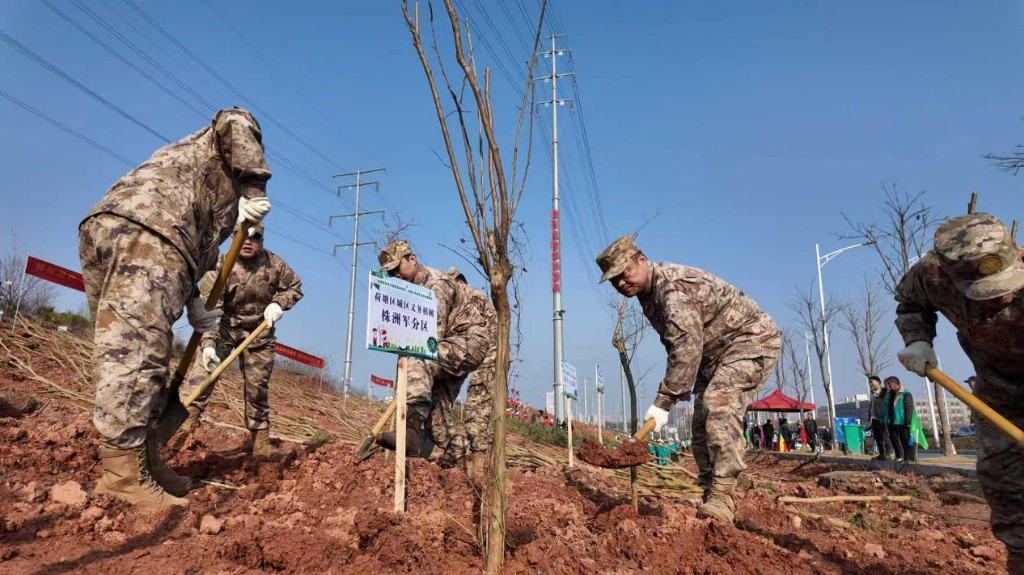 让每一抹绿，既是风景又有“钱”景