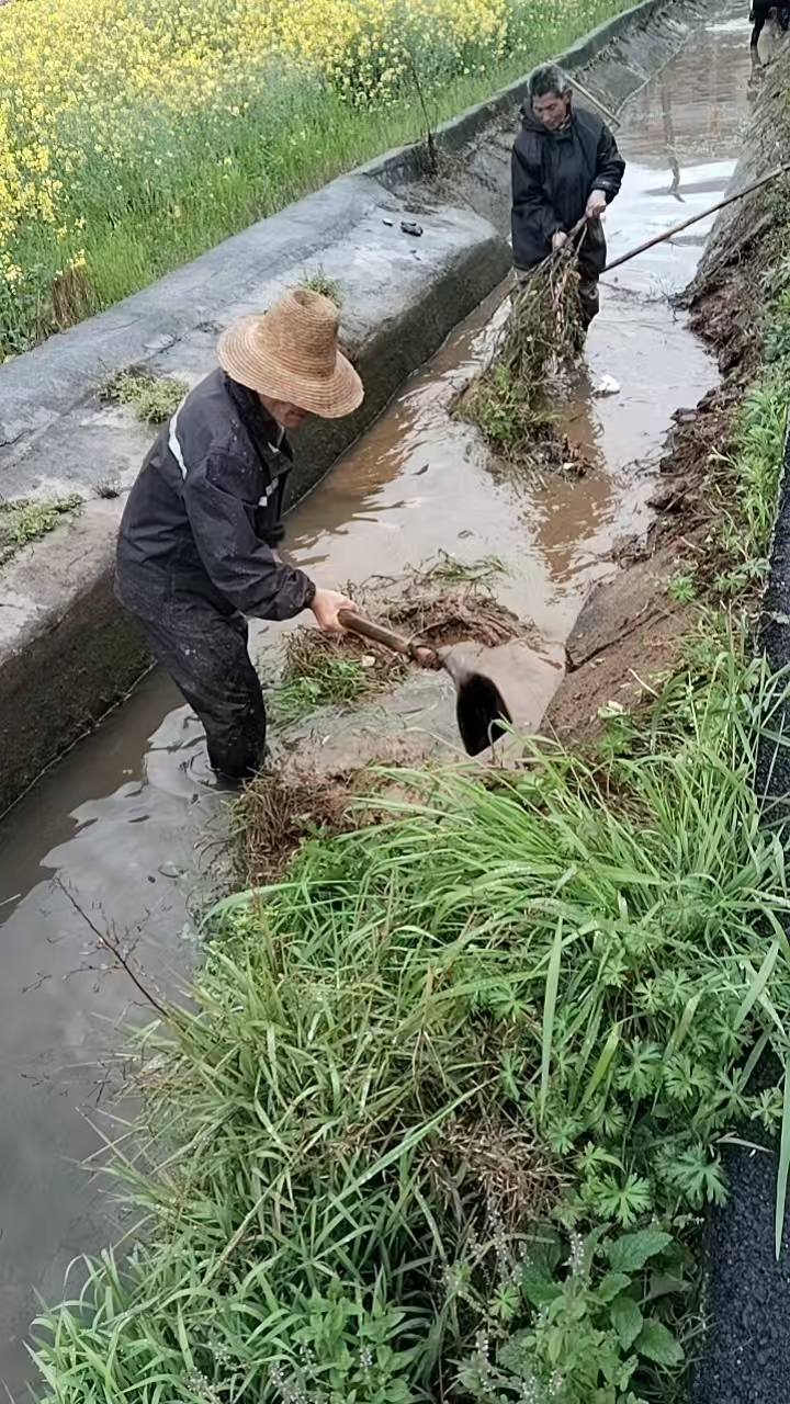 联星街道沙陵陂村：消淤除障润民生 清水复流焕新颜