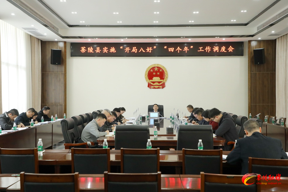 茶陵县实施“开局八好”“四个年”工作调度会召开