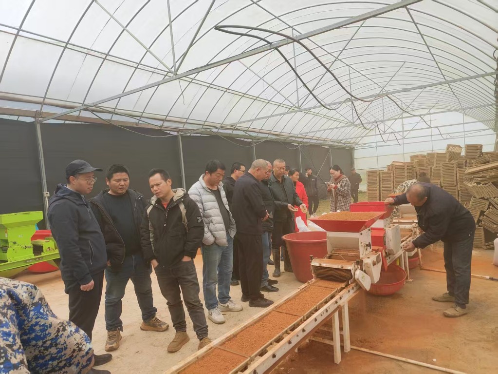 2026年株洲市机育秧培训在渌口区举办