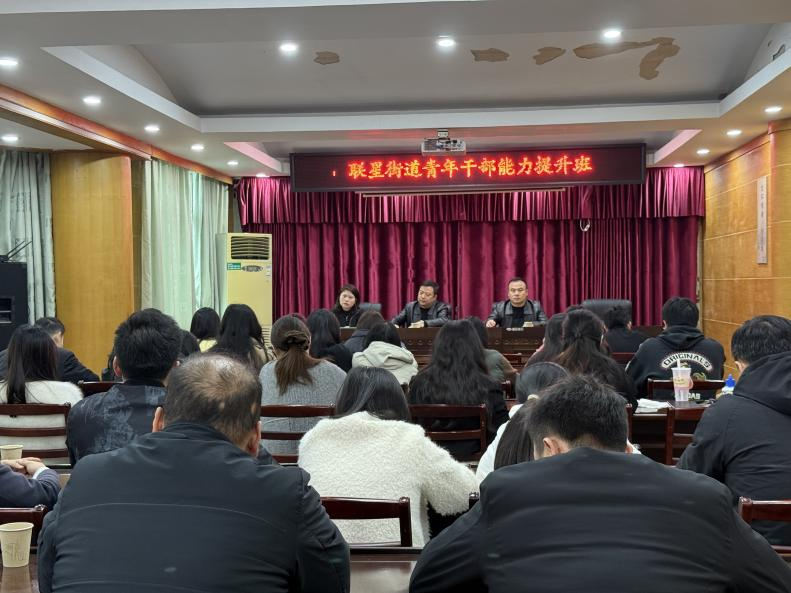 联星街道：联心聚力促发展 担当实干勇作为