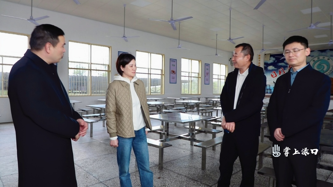 赖晓智到渌口和淦田两镇调研交通建设与校园安全相关工作