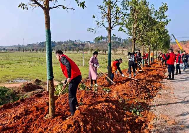 攸县林业局开展义务植树活动为湘东明珠添新绿