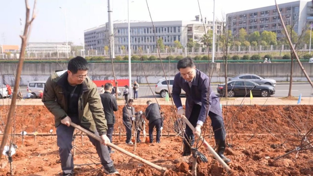让每一抹绿，既是风景又有“钱”景