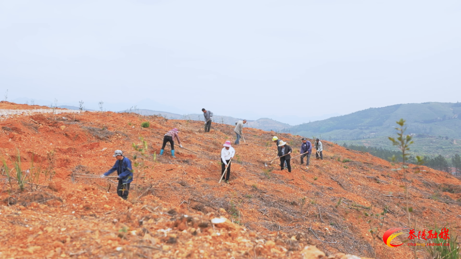 实干攻坚赋能 茶陵产业发展提质提速