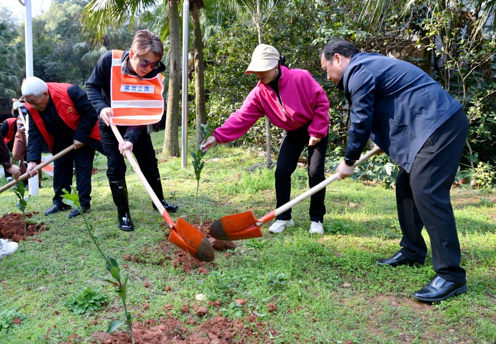 株洲市交通事务中心：植树添绿净环境 联点共建暖民心