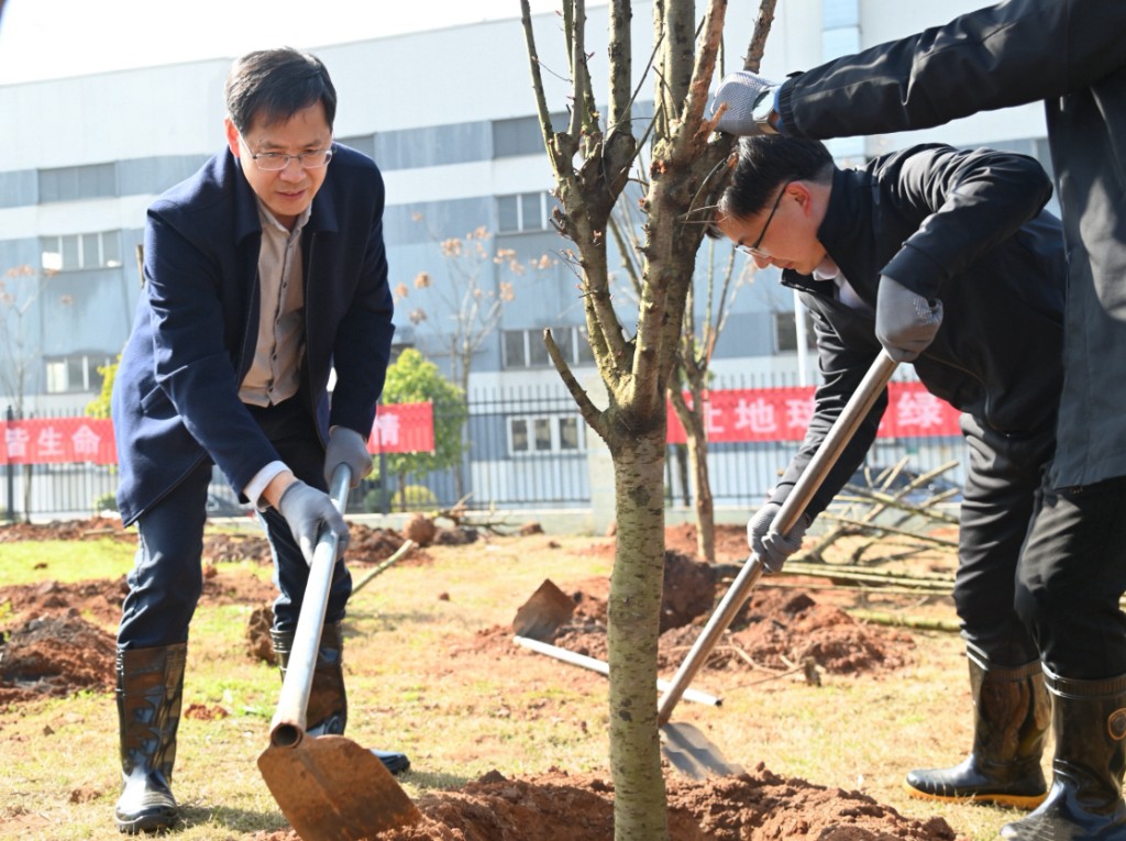 添绿正当时 携手向春行