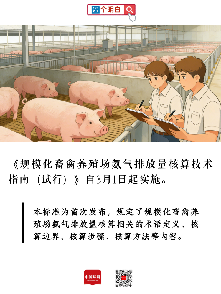 重要提示！本月起，这些新规将实施！