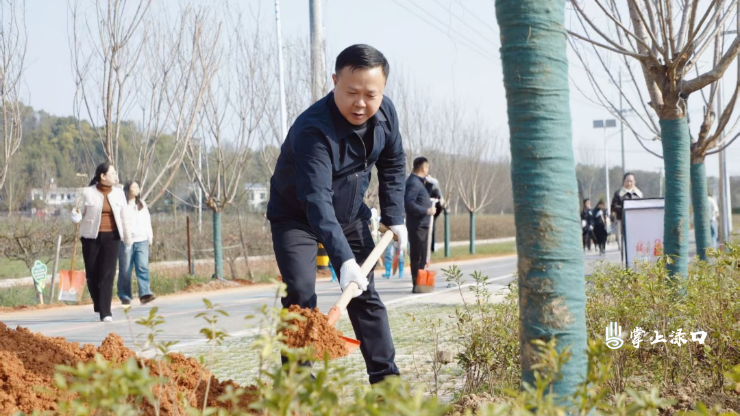 渌口区开展义务植树活动 为王家洲乡村美术馆添新景