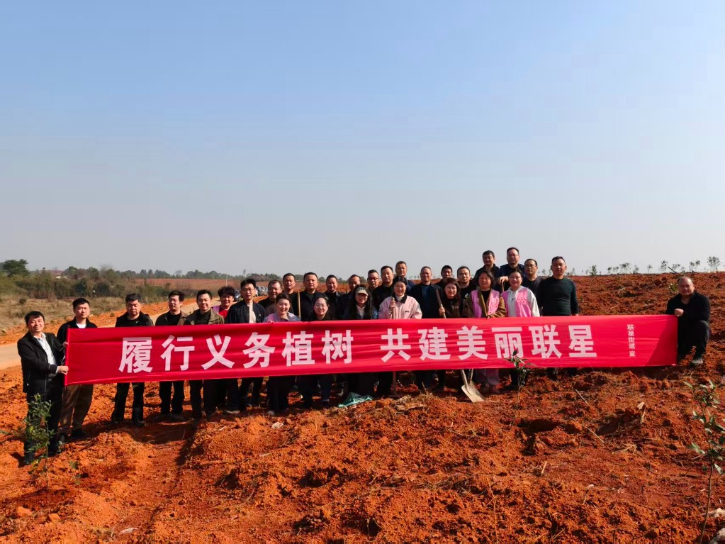 联星街道：植树添新绿 茶树助振兴